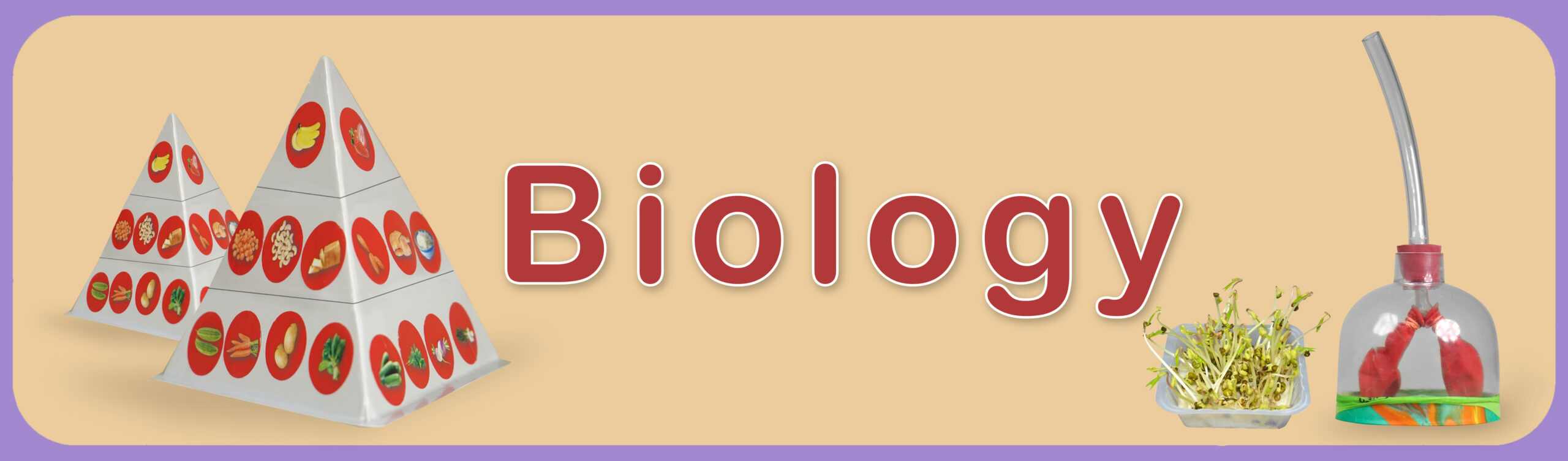 Biology banner 