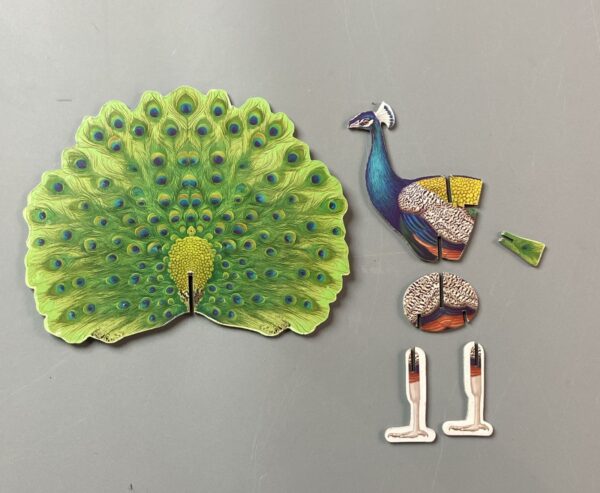 National Bird Cut Out